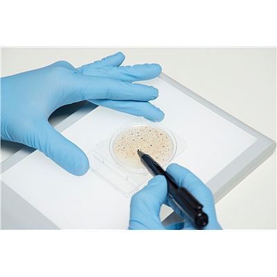 微生物快速测试片—铜绿假单胞菌