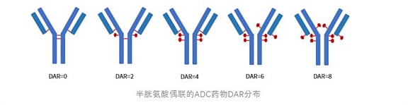 岛津高效液相色谱可满足较全面覆盖ADC药物DAR值测