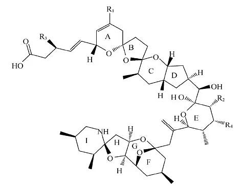 原多甲藻酸毒素(AZA)结构图