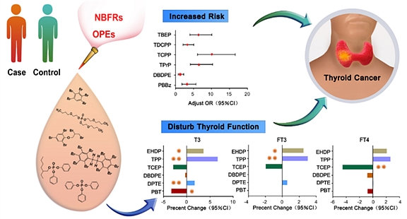 NBFRs和OPEs人体内暴露与甲状腺癌的关联关系