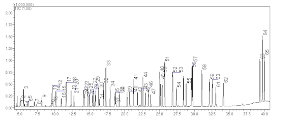 65种VOCs总离子流图（2.5 nmol/mol）